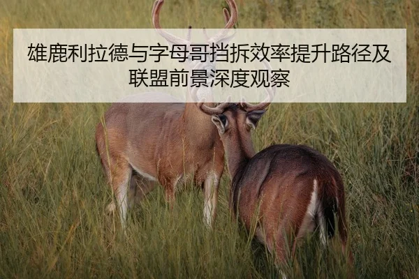 雄鹿利拉德与字母哥挡拆效率提升路径及联盟前景深度观察